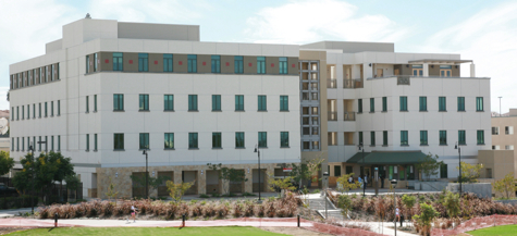 full photo of Calpulli building